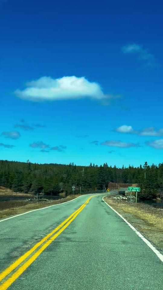 Post 5 by Cape breton princess on TikTok (video)