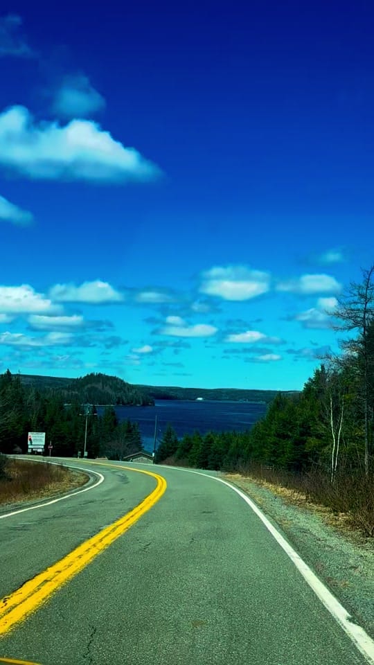 Post 3 by Cape breton princess on TikTok (video)