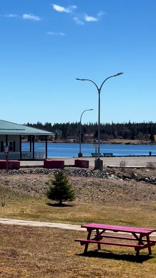 Post 7 by Cape breton princess on TikTok (video)