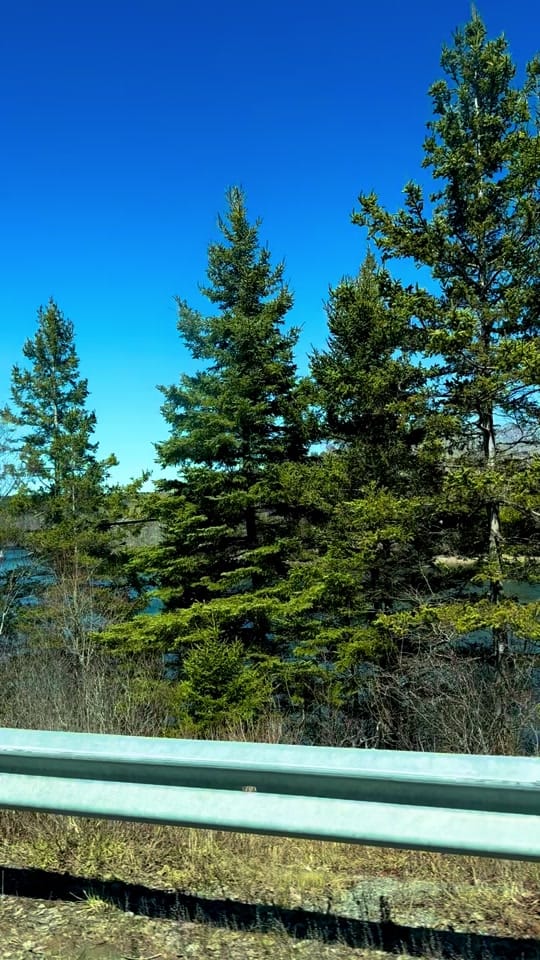 Post 9 by Cape breton princess on TikTok (video)