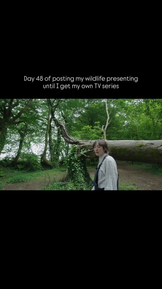 Post 6 by SpaghettiSean on TikTok (video)