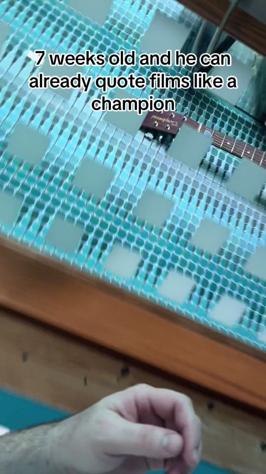 Post 6 by Colonel Dax on TikTok (video)