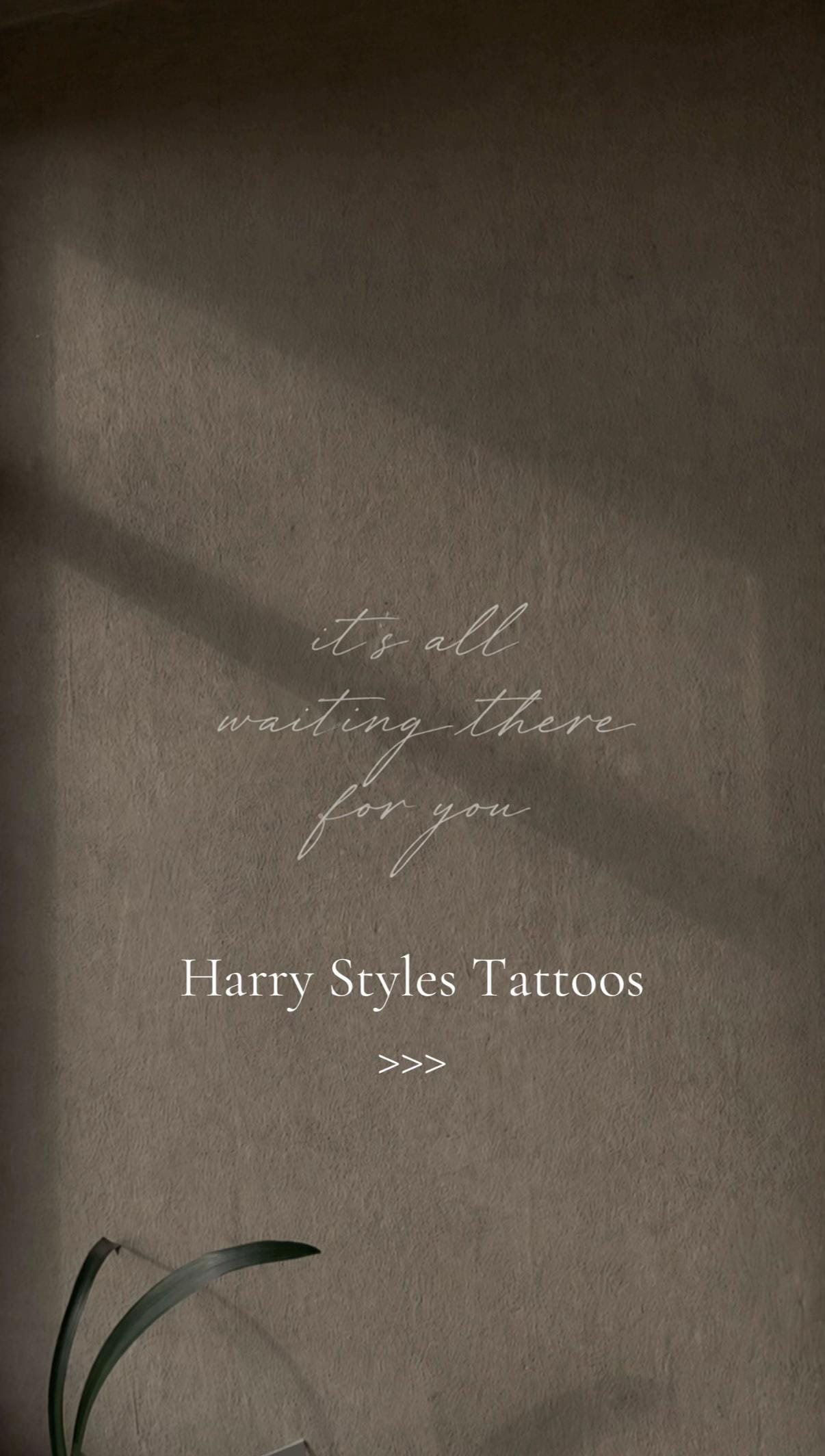 Post 2 by kiera • fineline tattoo artist on TikTok (video)