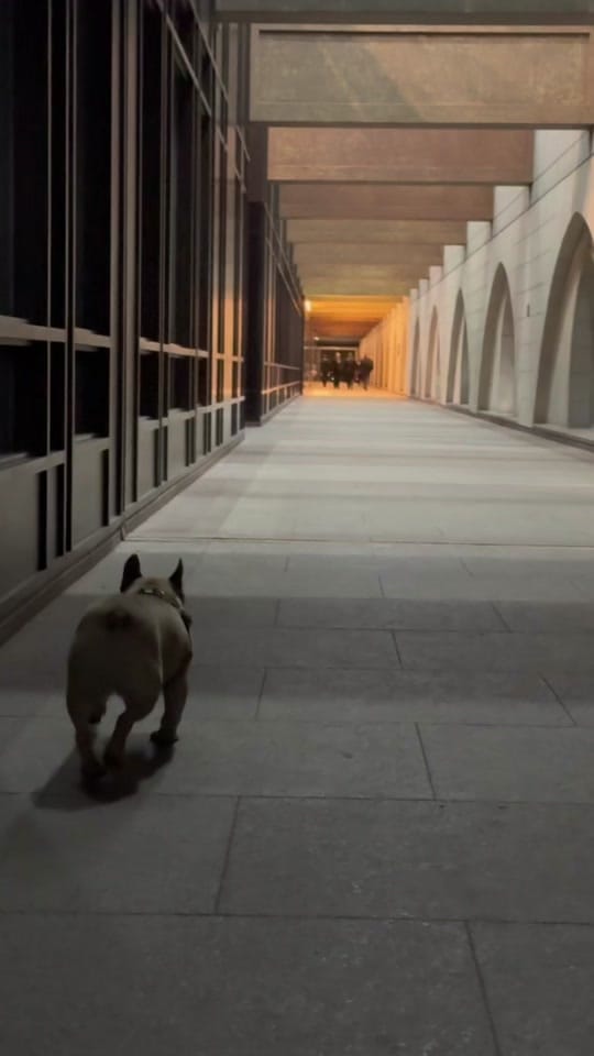 Post 4 by Connor Wynn on TikTok (video)