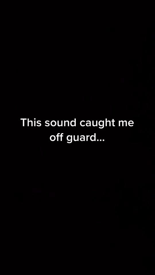 Post 7 by Shadow, Hunter & Reya on TikTok (video)