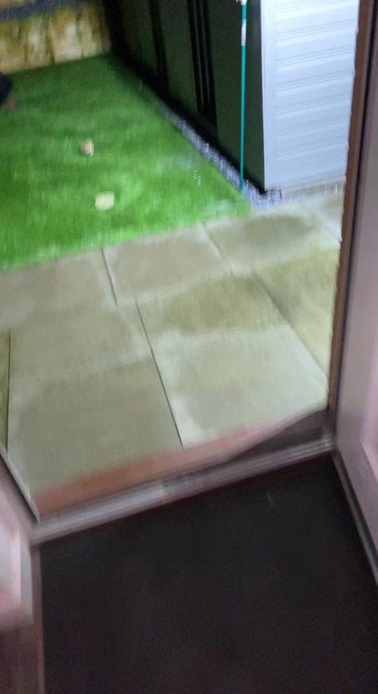 Post 3 by Shadow, Hunter & Reya on TikTok (video)