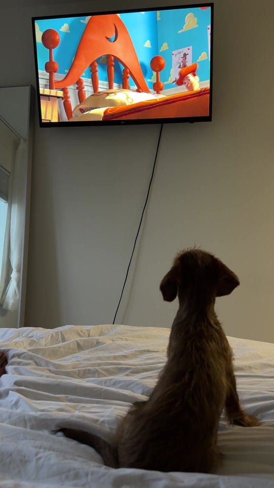 Post 7 by jacky on TikTok (video)