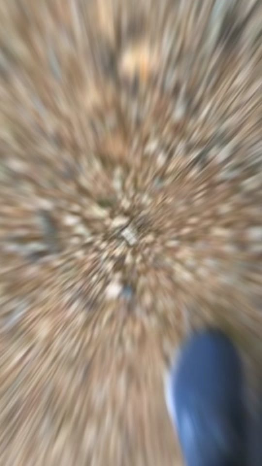 Post 4 by Brimmerton Blue on TikTok (video)