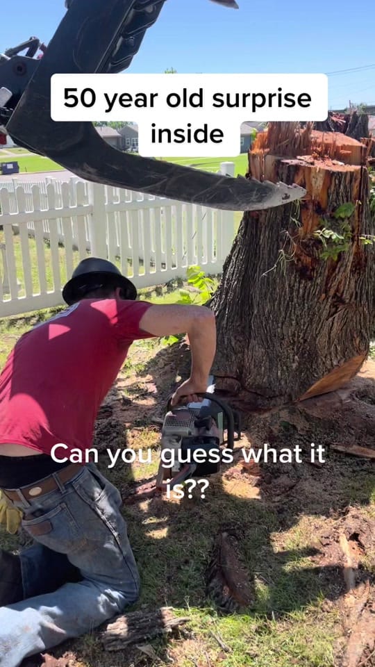Post 9 by Kathy Hayes on TikTok (video)