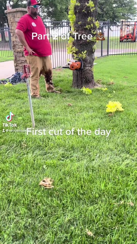 Post 10 by Kathy Hayes on TikTok (video)