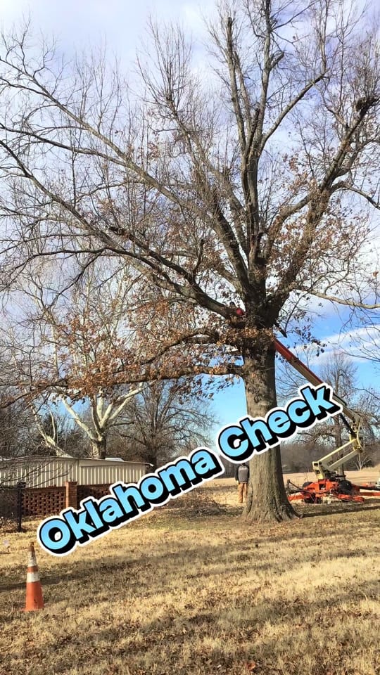 Post 5 by Kathy Hayes on TikTok (video)