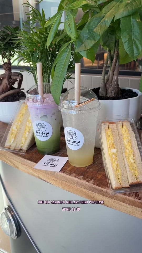 Post 5 by dearmtl on TikTok (video)