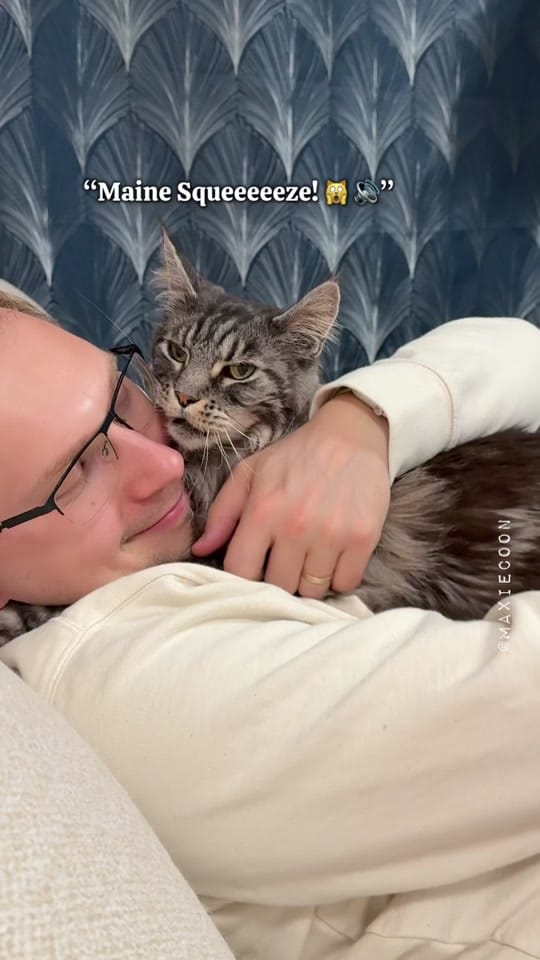 Post 8 by 🐱🖤Maxie & Foxie🧡🐱🇬🇧 on TikTok (video)