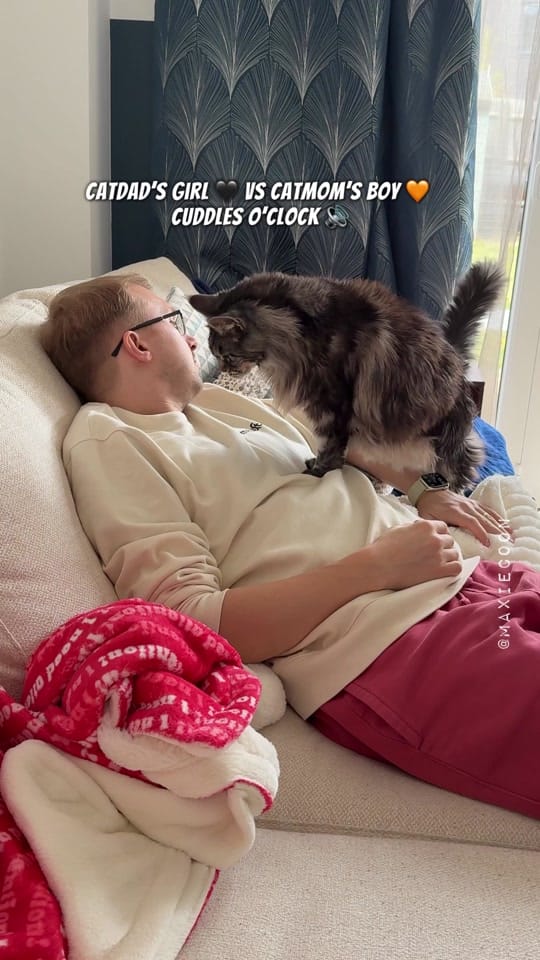 Post 2 by 🐱🖤Maxie & Foxie🧡🐱🇬🇧 on TikTok (video)