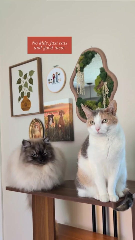 Post 7 by Carly | Pet + Home Creator on TikTok (video)