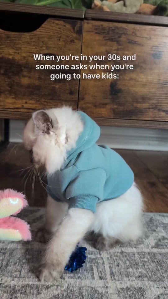 Post 6 by Carly | Pet + Home Creator on TikTok (video)