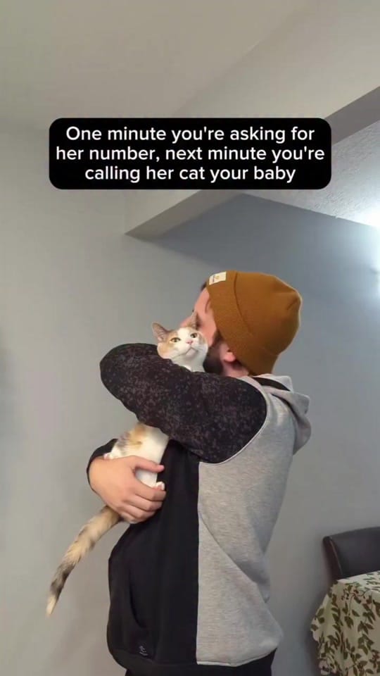 Post 4 by Carly | Pet + Home Creator on TikTok (video)