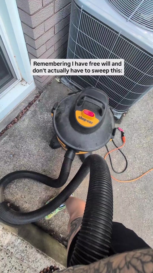 Post 2 by Carly | Pet + Home Creator on TikTok (video)