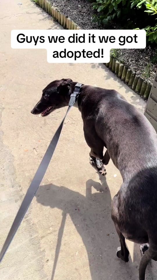 Post 10 by Clarks Farm on TikTok (video)