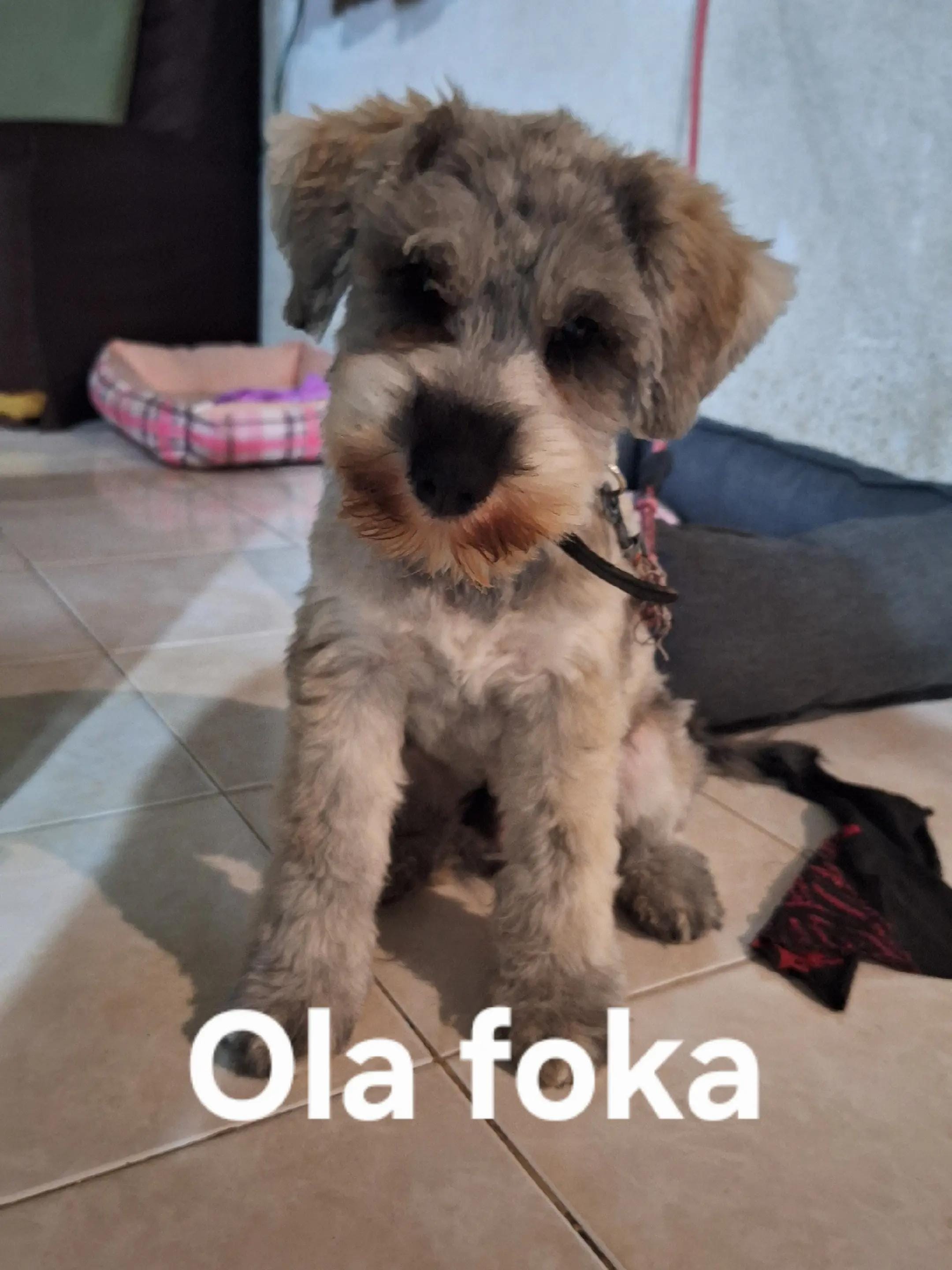 Post 2 by Ninaa-chan on TikTok (video)