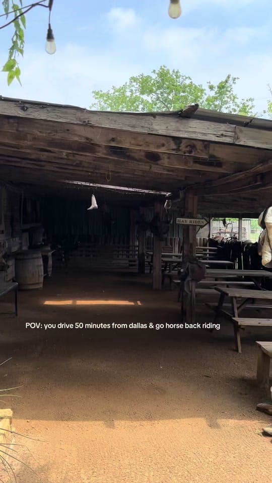 Post 9 by DALLAS THINGS on TikTok (video)