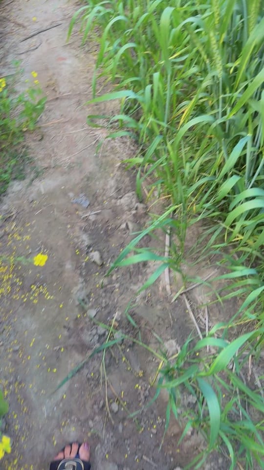 Post 8 by kamalcali12345🇺🇸🇺🇸 on TikTok (video)