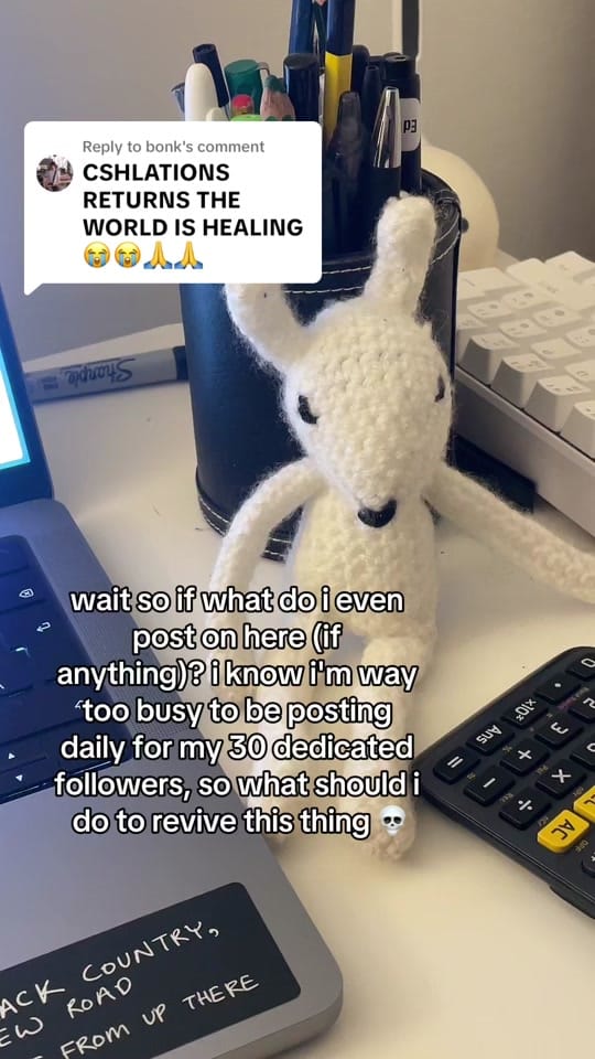 Post 4 by dangerous trait haver on TikTok (video)