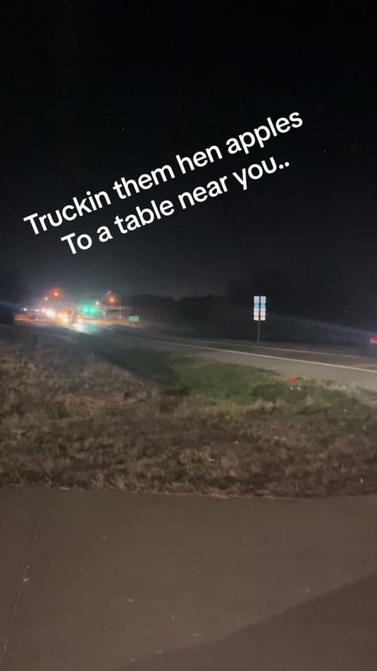 Post 10 by Colby Lane on TikTok (video)