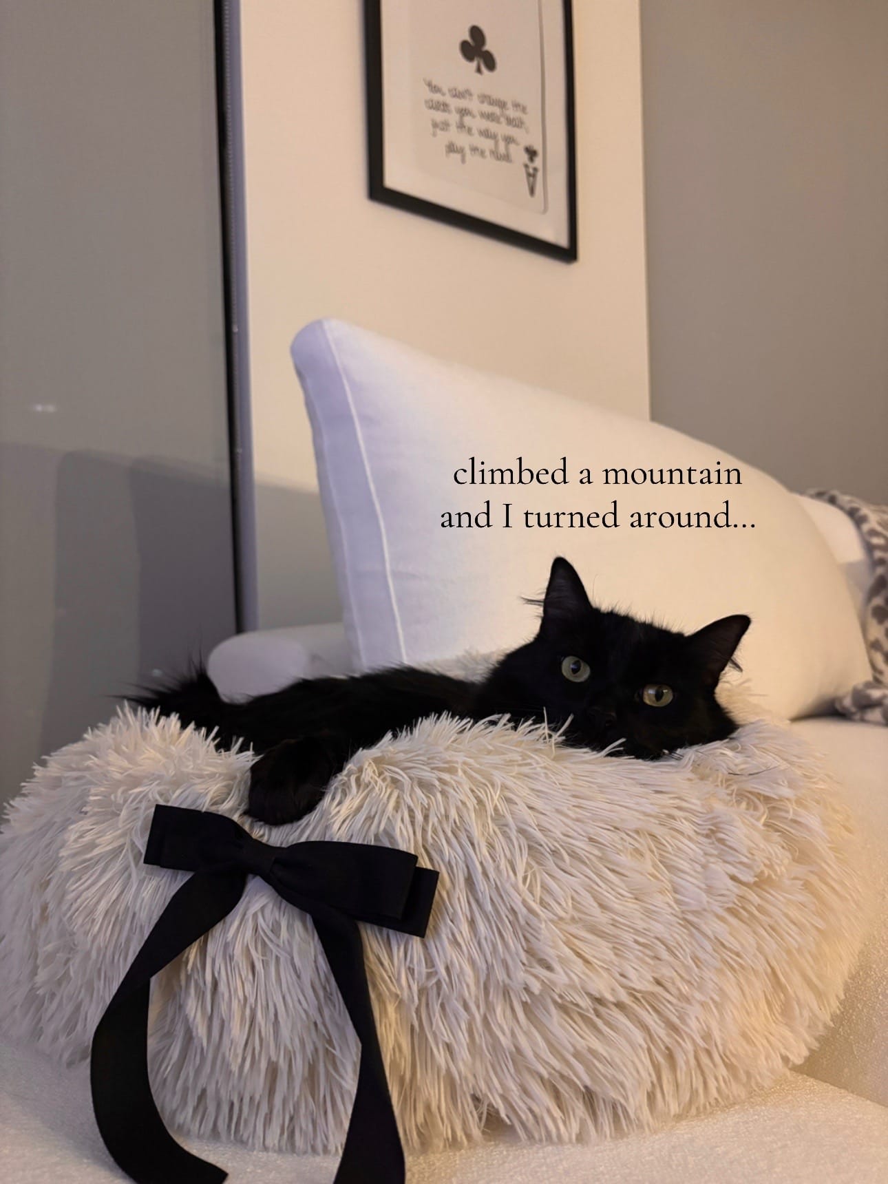 Post 2 by Micayla Lydia on TikTok (video)