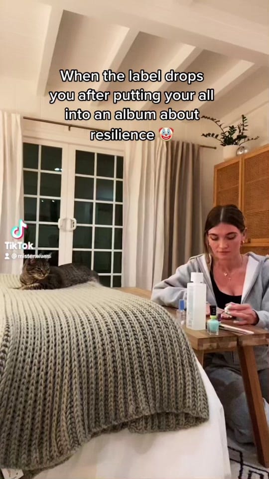 Post 8 by MisterWives on TikTok (video)