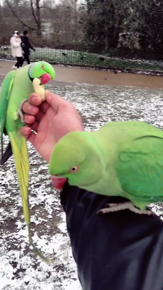 Post 9 by lahori lover on TikTok (video)