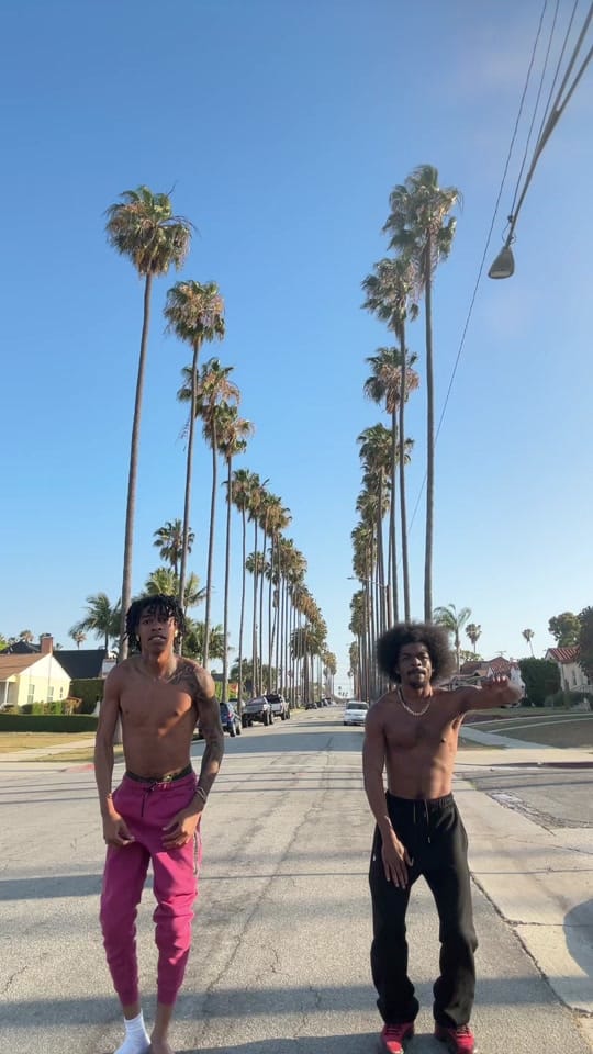 Post 9 by Trellwitdahair_ on TikTok (video)