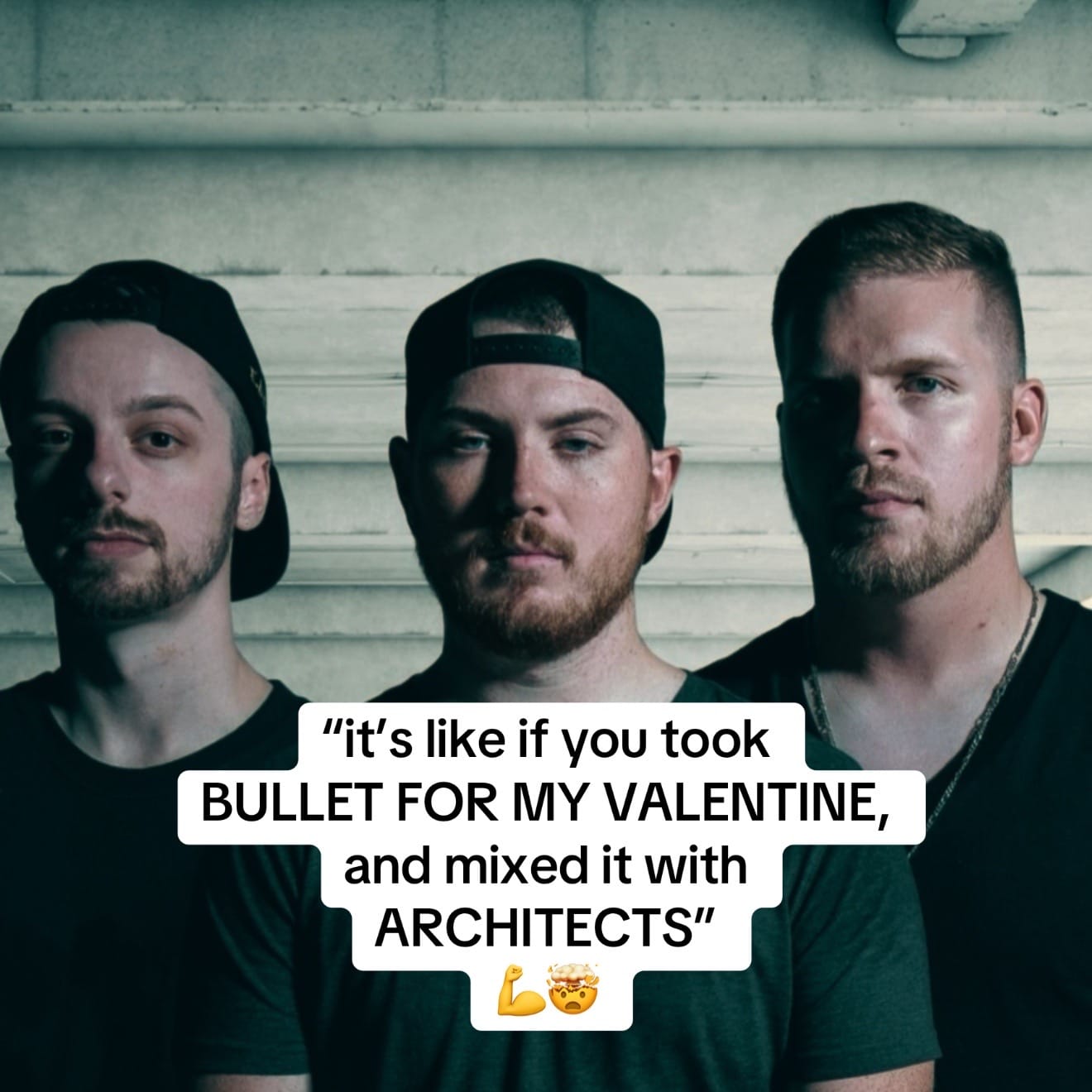 Post 5 by Transgressions on TikTok (video)