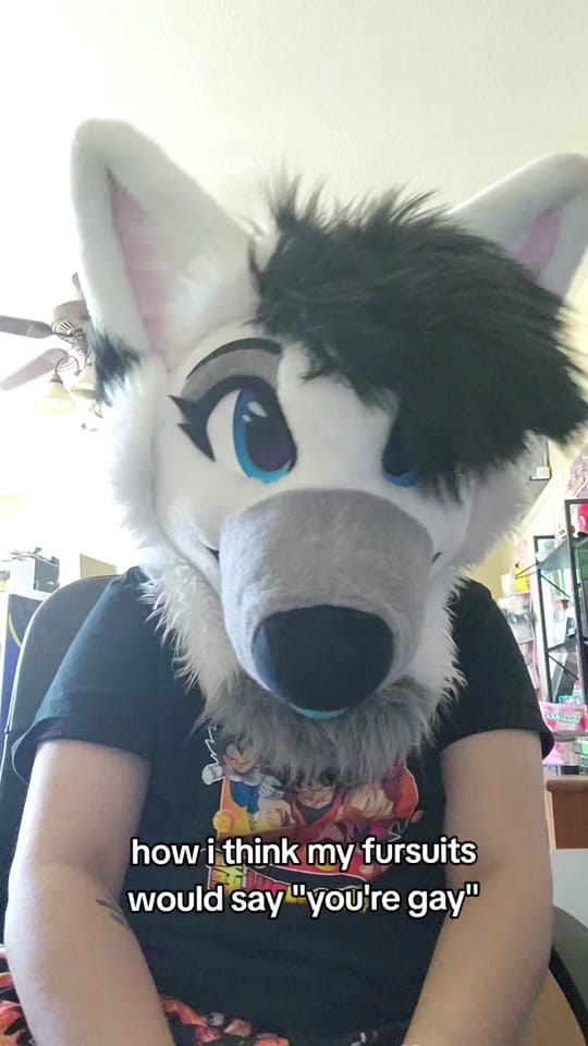Post 9 by ❄️🐾Flake Wusky🐾❄️@ Anthrocon on TikTok (video)