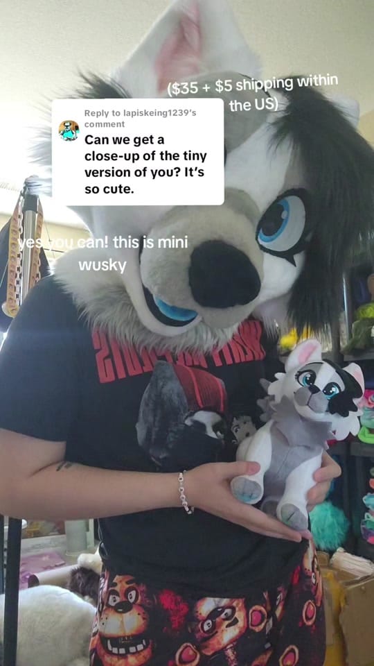 Post 10 by ❄️🐾Flake Wusky🐾❄️@ Anthrocon on TikTok (video)