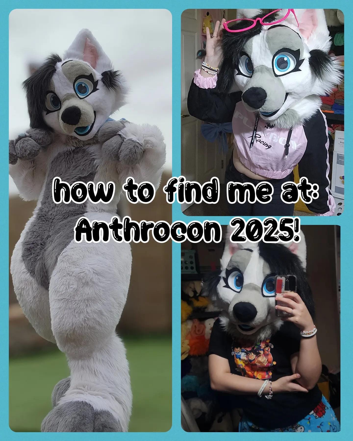Post 2 by ❄️🐾Flake Wusky🐾❄️@ Anthrocon on TikTok (video)