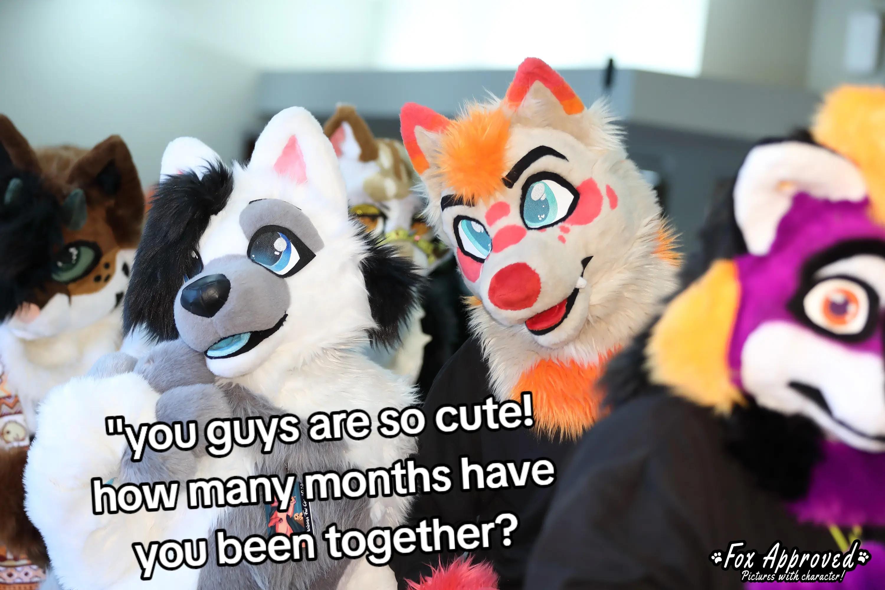 Post 1 by ❄️🐾Flake Wusky🐾❄️@ Anthrocon on TikTok (video)