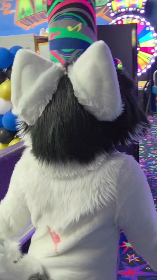 Post 6 by ❄️🐾Flake Wusky🐾❄️@ Anthrocon on TikTok (video)
