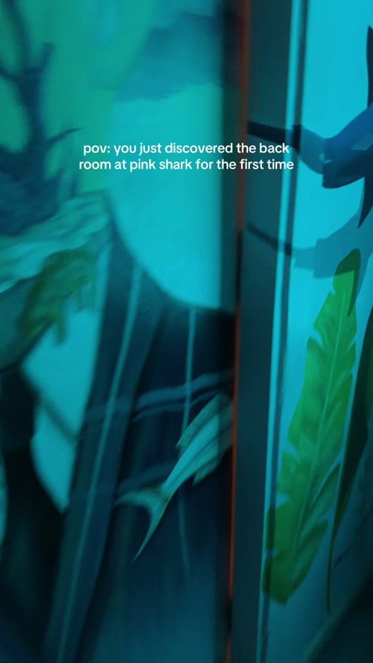 Post 2 by Pink Shark Bar on TikTok (video)