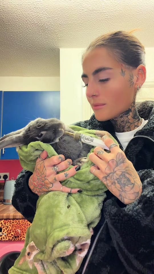 Post 8 by Clement Rabbit Rescue 🐰 on TikTok (video)