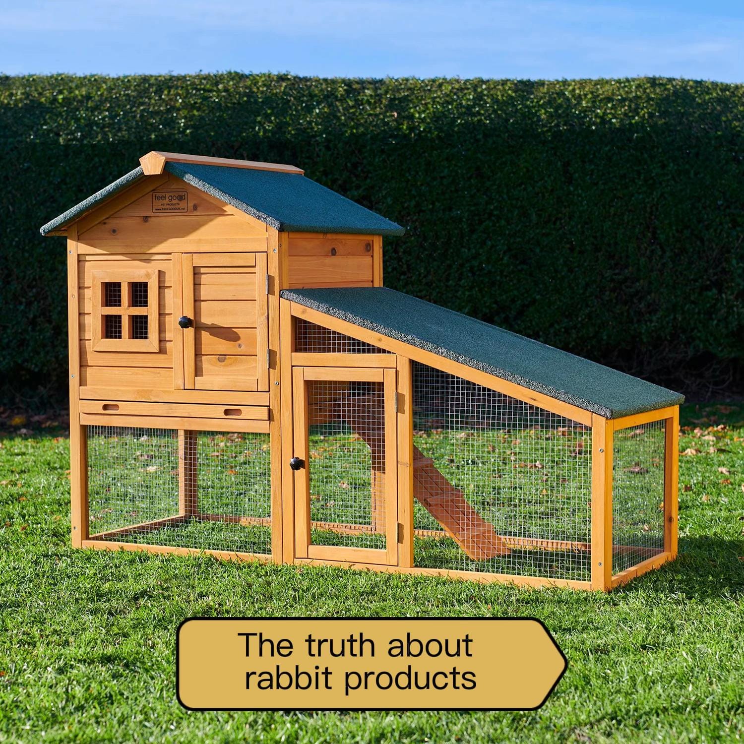 Post 4 by Clement Rabbit Rescue 🐰 on TikTok (video)
