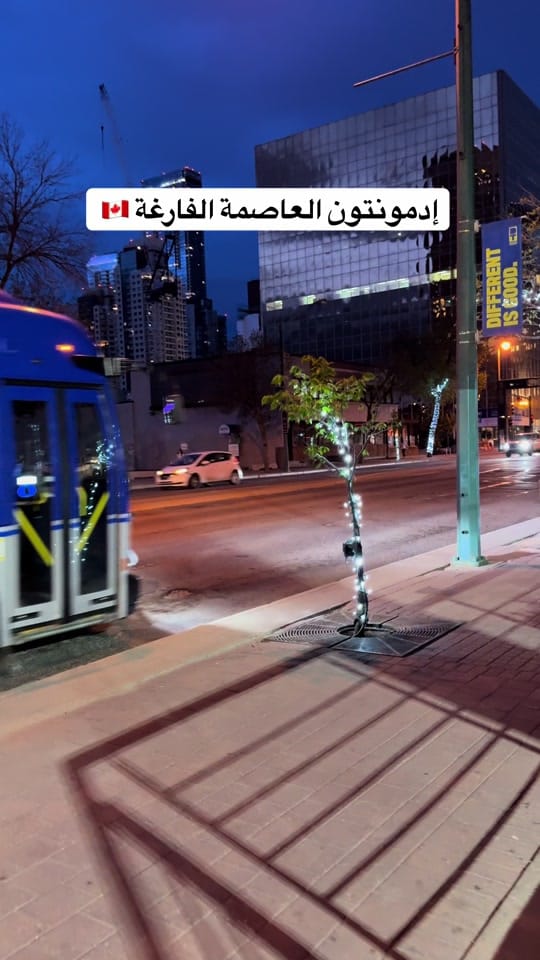 Post 5 by Omar on TikTok (video)