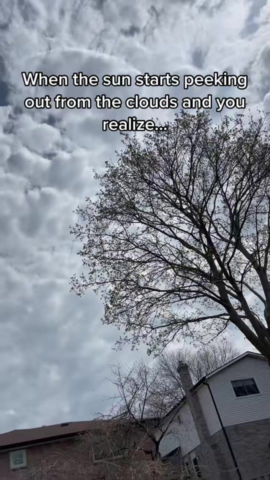 Post 8 by Baylee | Crochet W Bay on TikTok (video)
