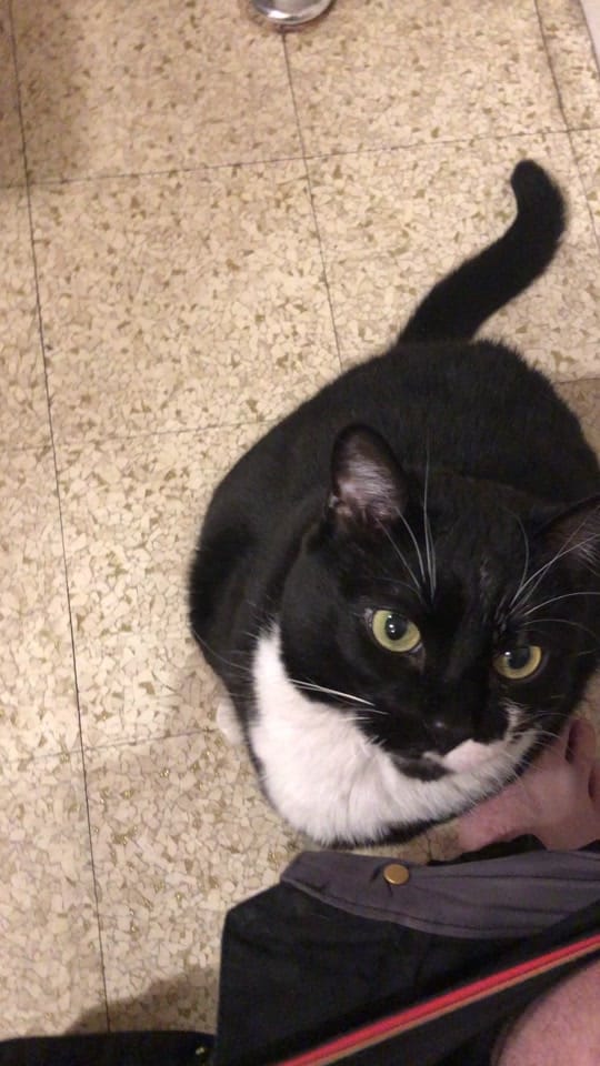 Post 2 by Maxx Suchowicki on TikTok (video)
