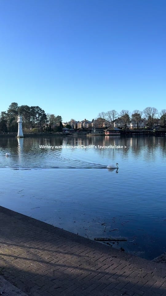 Post 6 by cardifflovelist__ on TikTok (video)