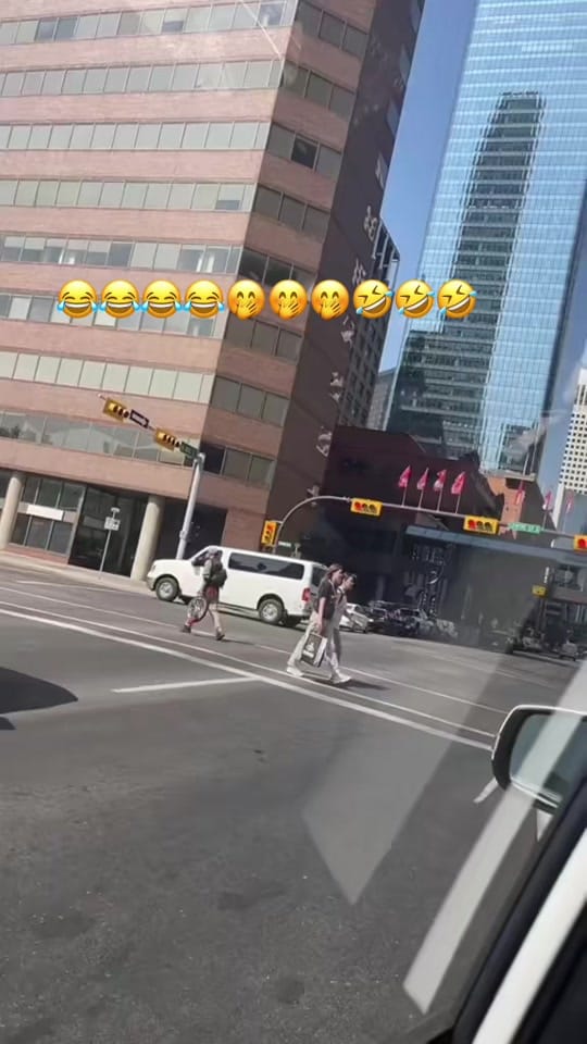 Post 2 by Amna Lifestyle🇨🇦🇵🇰🤍 on TikTok (video)