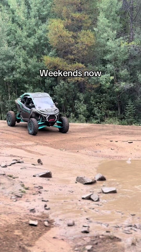 Post 5 by Nick on TikTok (video)