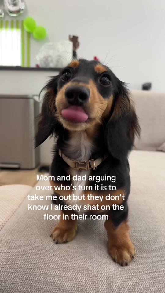 Post 6 by Mack daddy on TikTok (video)