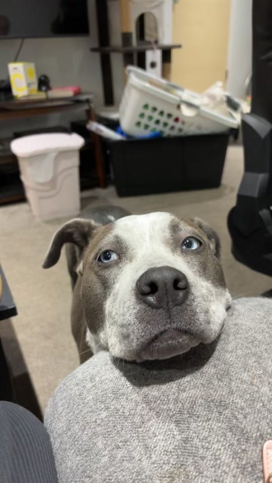 Post 7 by Mack daddy on TikTok (video)