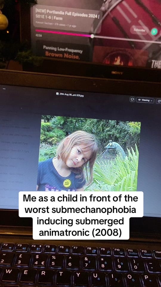 Post 3 by Annie on TikTok (video)